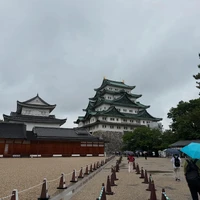 画像241