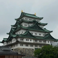 画像242