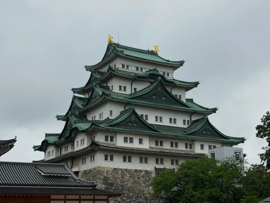 画像242