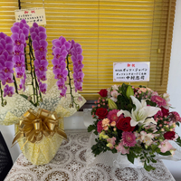 画像439